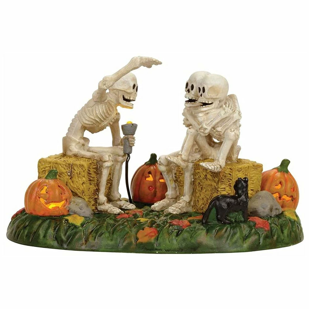 New 🔔 Department 56 Scary Skeleton Stories From Dept 56 🎃 Halloween Snow Village ✔️ 3 Department 56 Scary Skeleton Stories From Dept 56 Halloween Snow Village